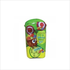 Lotte Mixed Fruit Candy Box