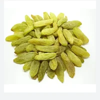 Sogi Sundar Khani 100G