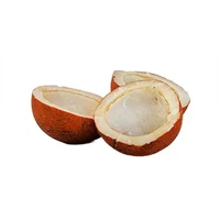 Coconut Khopa 1/4kg