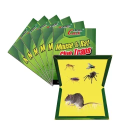 Expert Catch Mouse Killer