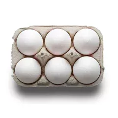 EGG 6 PCS